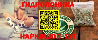 СК Краснознаменск