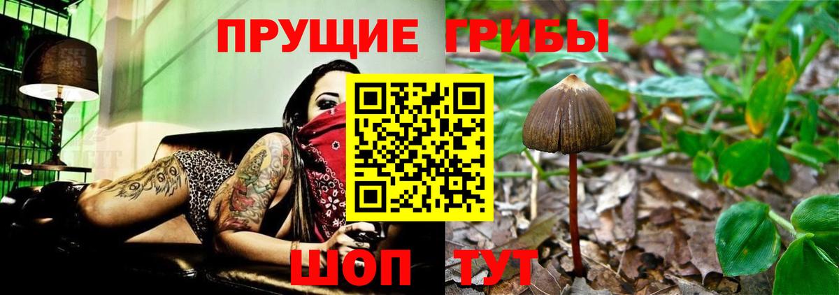 Янаул  Псилоцибиновые грибы мицелий  Вход с VPN 